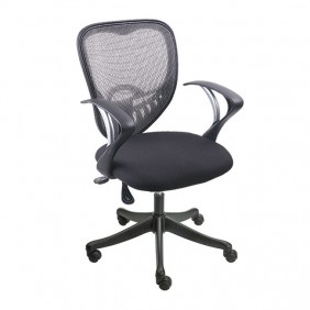 Cardic Low Back Chair