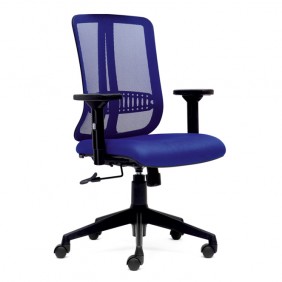 Coral Medium Back Chair